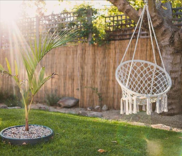 idyllic sunny backyard with lots of plants and tree with boho hippie hanging chair